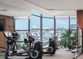 Tour Nhật Bản Mùa Hoa Kochia Giá Tốt 6N5D