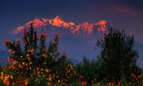 Săn Hoàng Hôn Himalaya: Kinh Nghiệm Từ Góc Nhìn Của Một Hành Giả