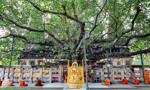 Bồ Đề Đạo Tràng: Cội Nguồn Giác Ngộ Của Đức Phật Tại Ấn Độ