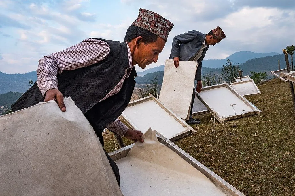 Nghệ thuật giấy Lokta: Quy trình tạo bản lưu trữ trăm năm
