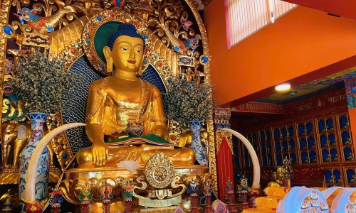 NAMO BUDDHA - HUYỀN THOẠI VỀ LÒNG TỪ BI TỐI THƯỢNG