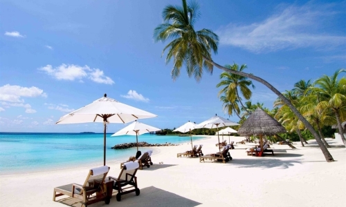 Tour Nha Trang: Discover San Hô  | 3N3D