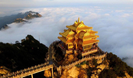 Xây Dựng Thương Hiệu và Mở Rộng Mạng Lưới