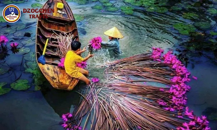 Tiền Giang – Bến Tre – Long An – Vĩnh Long tại dzogchen